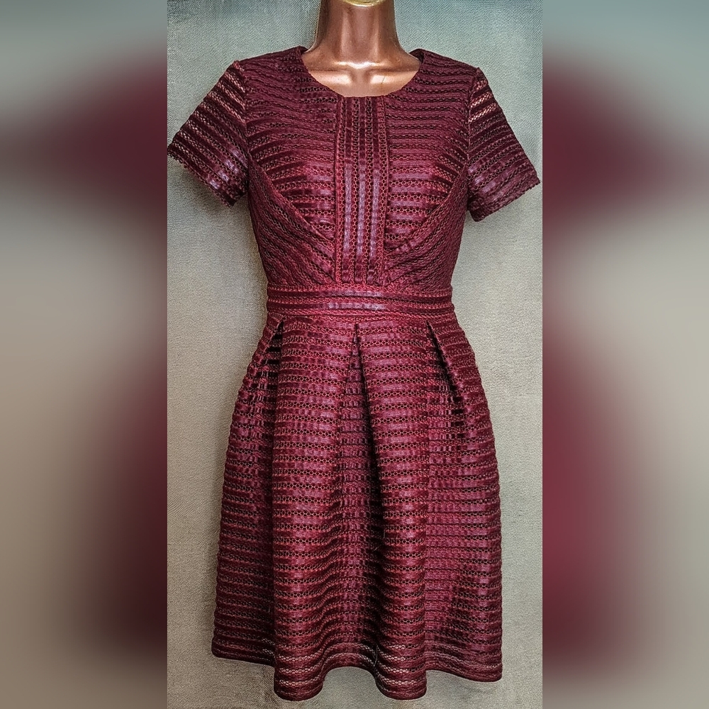 Romeo And Juliet Couture Burgundy Mesh Midi Dress